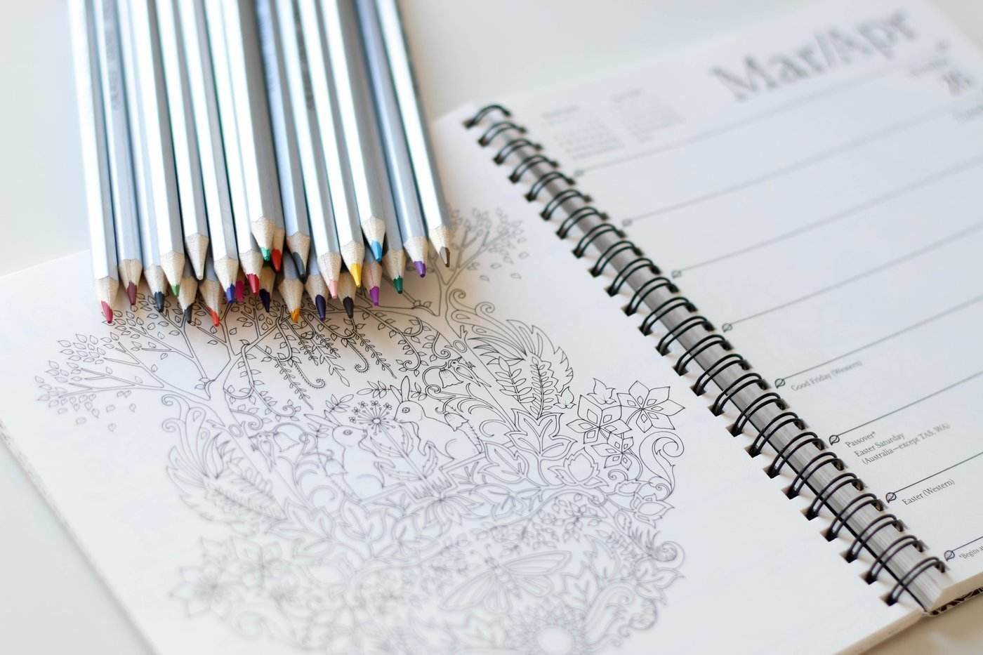 coloured pencils and drawing notebook - best flower colouring book for adults